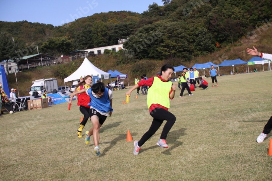 2014 한국베어링 판매협회 한마음 체육대회