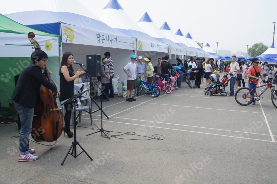 2012 한강서래섬 유채꽃축제