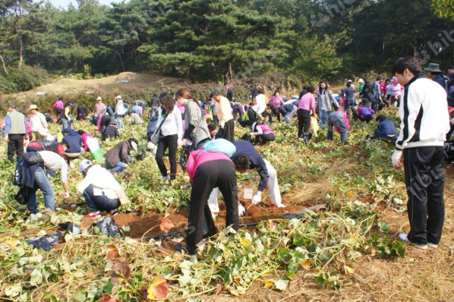 동수원신협 가을소풍