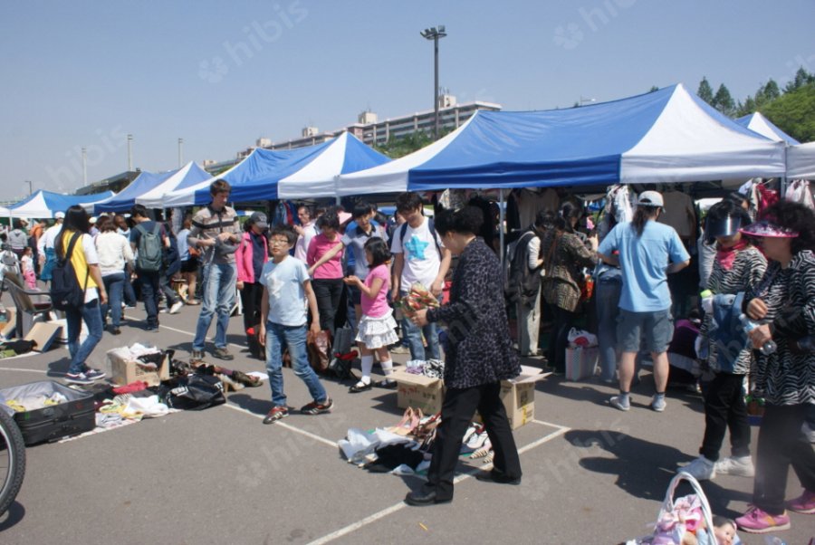 한강 서래섬 유채꽃 축제