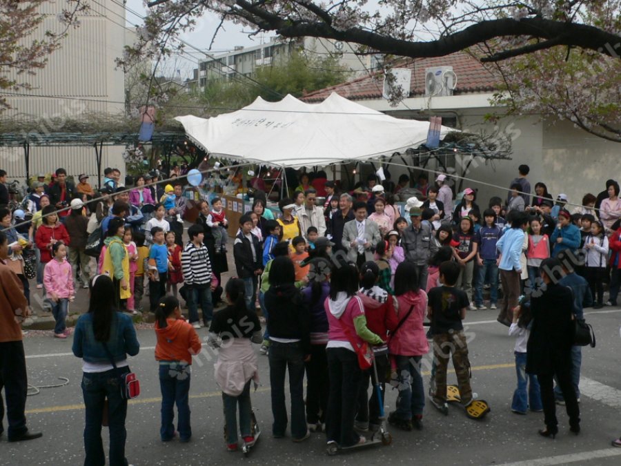 2008 철산8단지 벚꽃축제