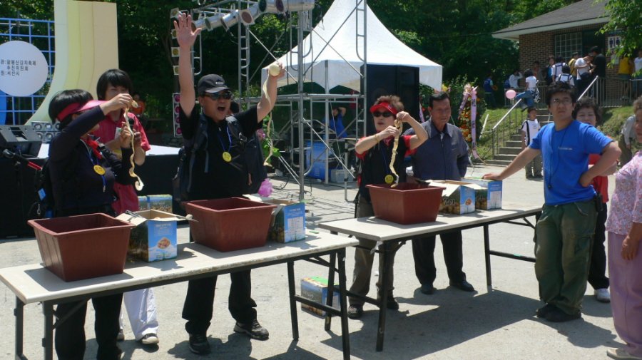 2007 팔봉산 감자축제