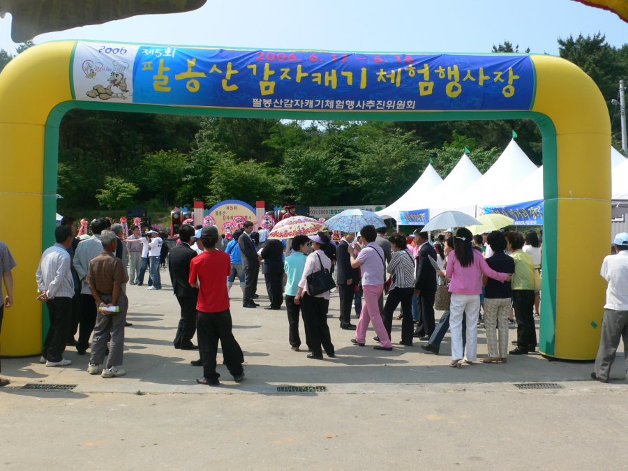 제5회 팔봉산 감자축제