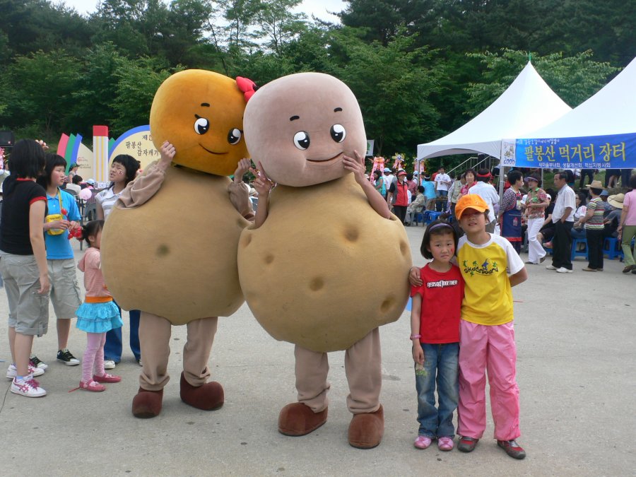제5회 팔봉산 감자축제