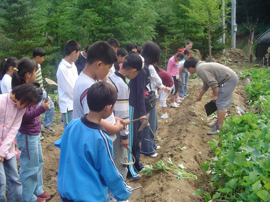 서대문구 청소년 농촌체험 및 유적지 탐방