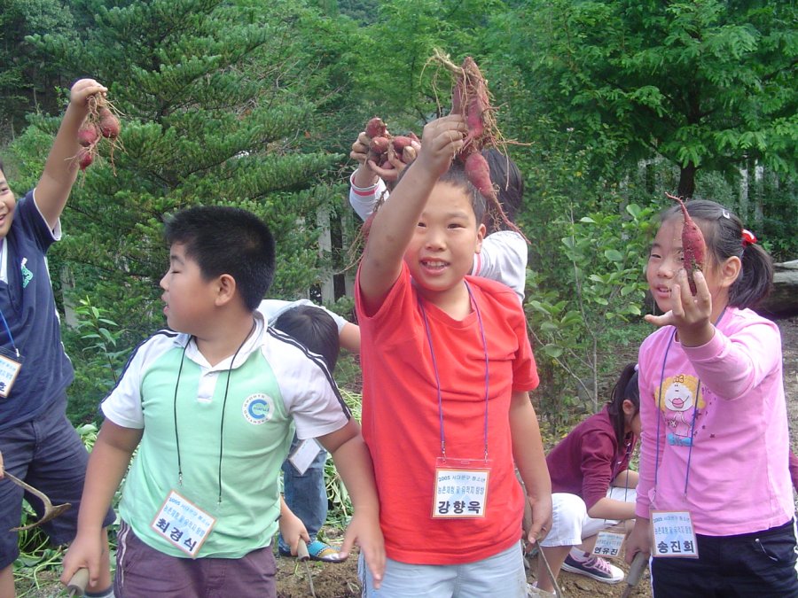 서대문구 청소년 농촌체험 및 유적지 탐방