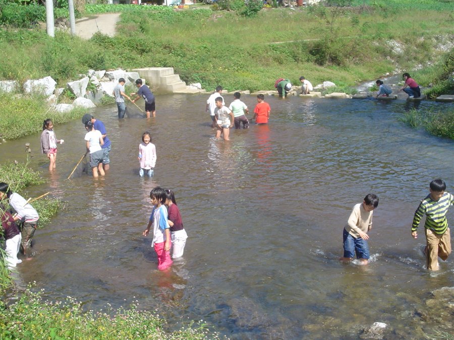 서대문구 청소년 농촌체험 및 유적지 탐방