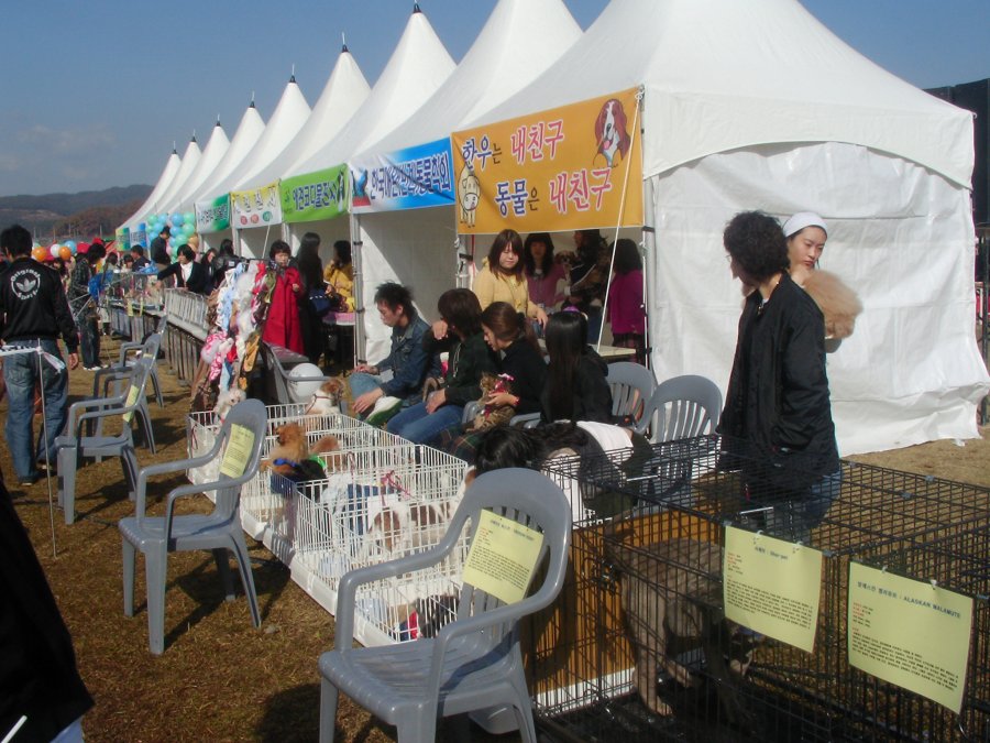 2005 축산인 한마음 대축제