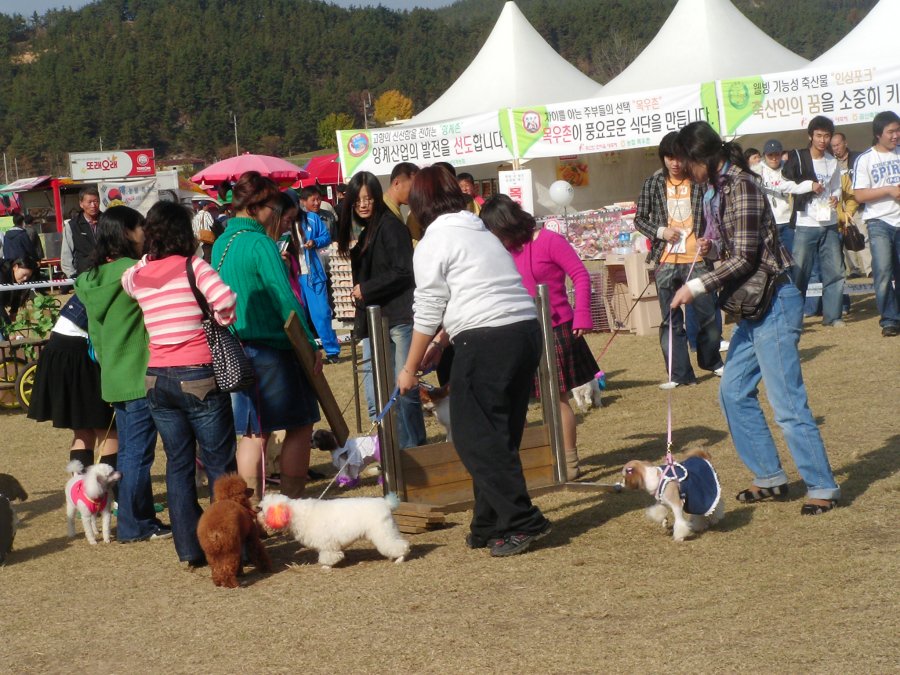2005 축산인 한마음 대축제